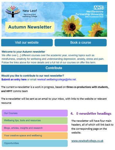 Newsletter