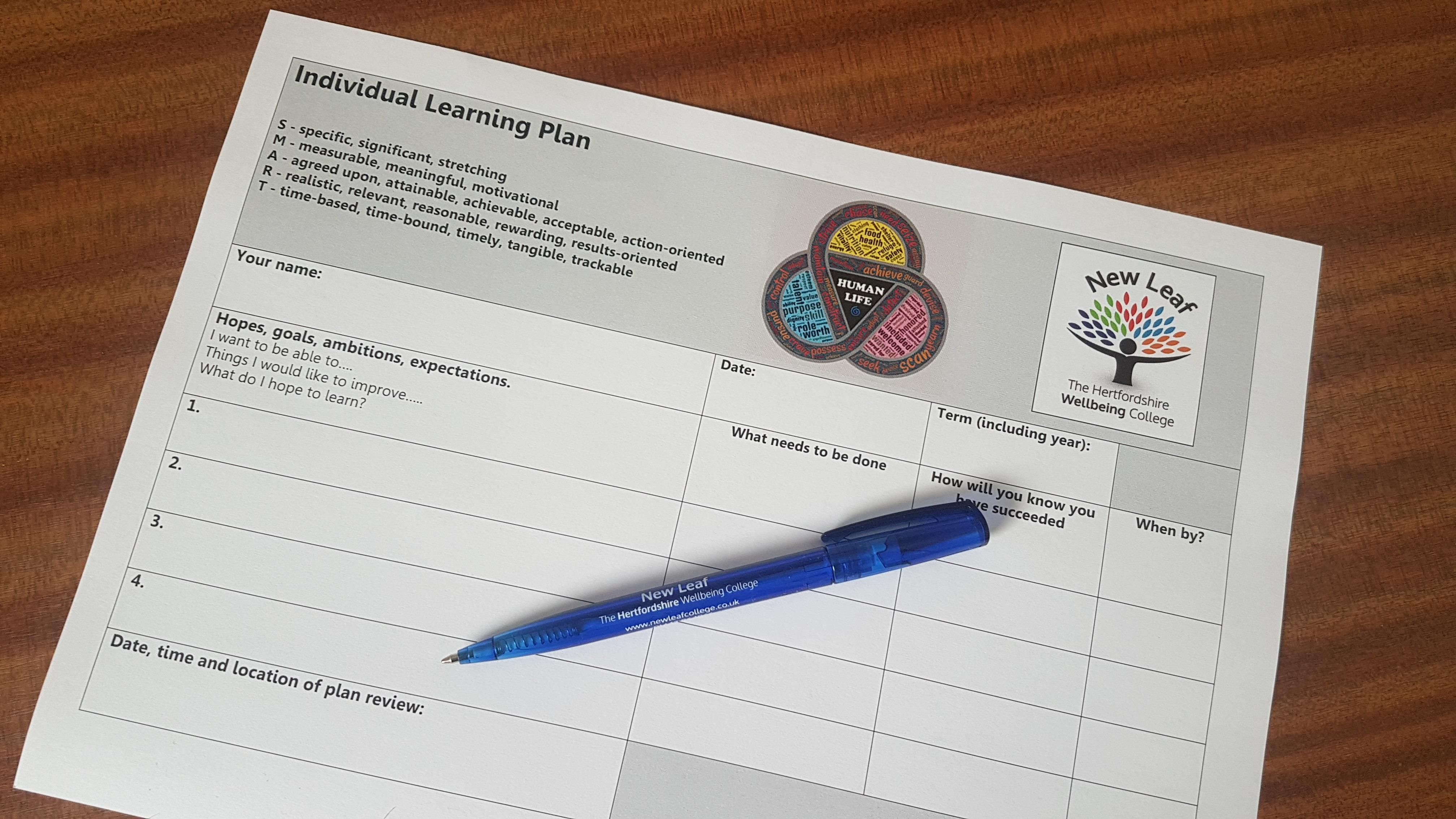 Individual learning plan